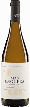 Mas Enguera Blanco (Bio)